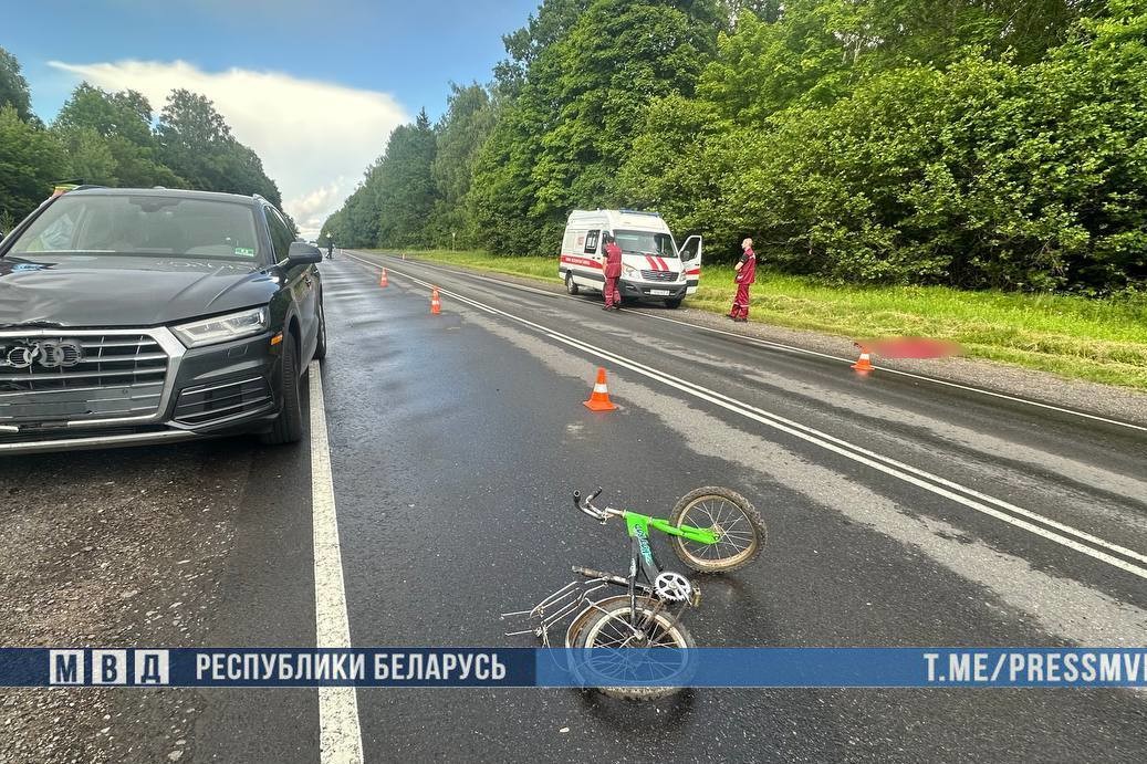 Смертельное ДТП на трассе Могилёв &mdash; Бобруйск: 38-летний водитель Audi наехал на 6-летнюю девочку-велосипедистку