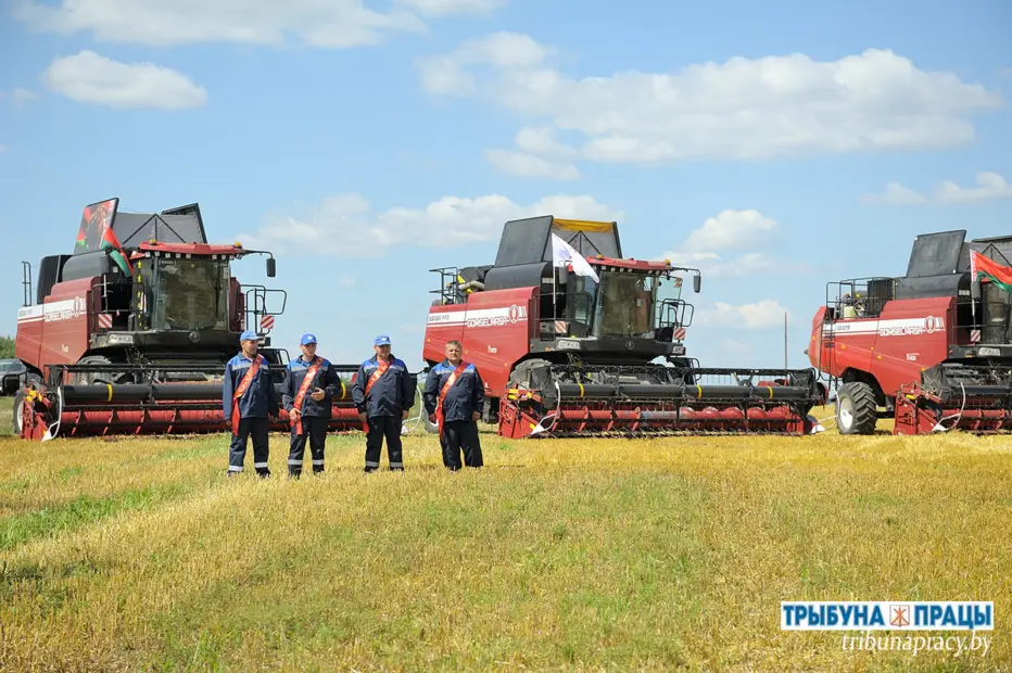 Больше, чем просто традиция! В Бобруйском районе прошел обряд &laquo;Зажинки&raquo;