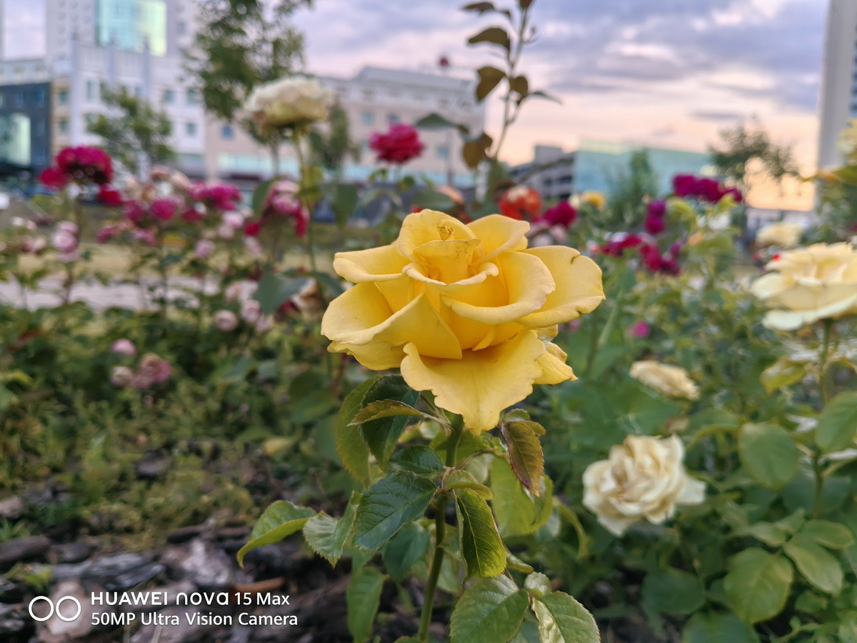 Huawei nova 15 Max