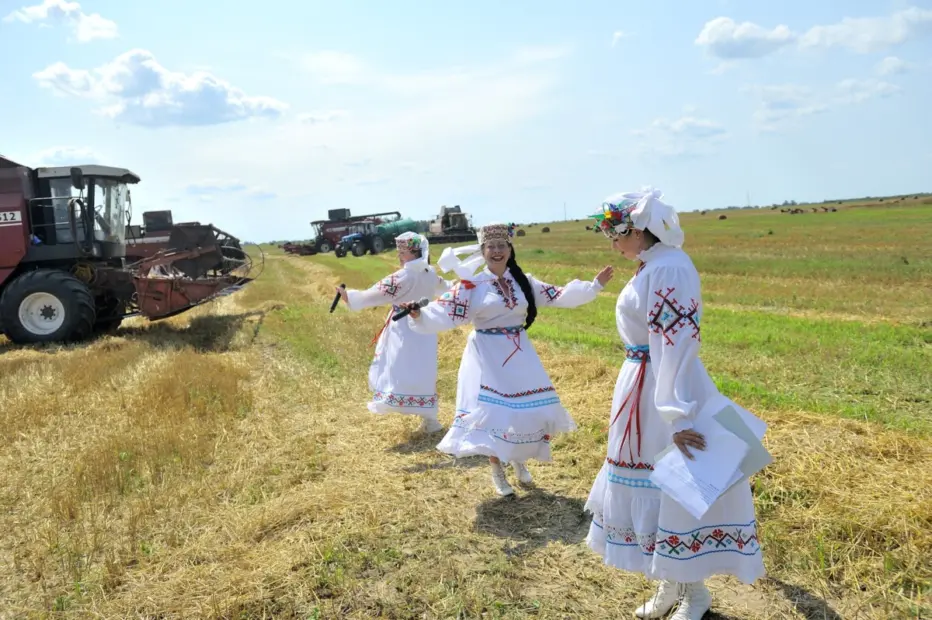 Первая 1000 тонн: водитель из Бобруйского района Николай Крусир установил рекорд на жатве