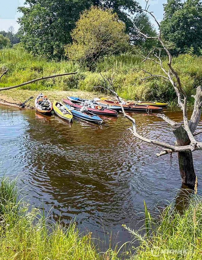 Маршрут перестроен: 50 километров по Птичи