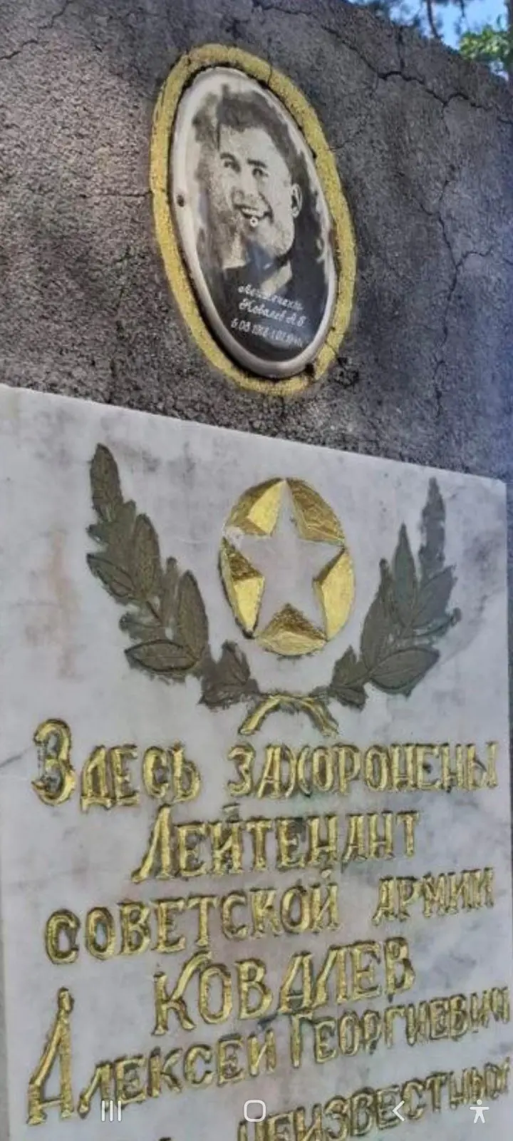 Поисковики из Бобруйска и России объединились в поиске пропавших без вести солдат ВОВ