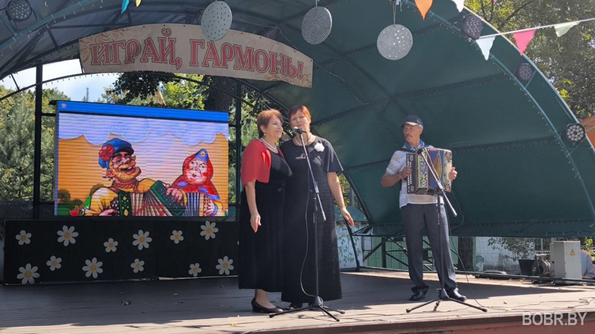 В Бобруйске подведены итоги конкурса &laquo;Играй гармонь&raquo;