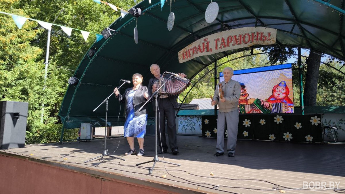 В Бобруйске подведены итоги конкурса &laquo;Играй гармонь&raquo;