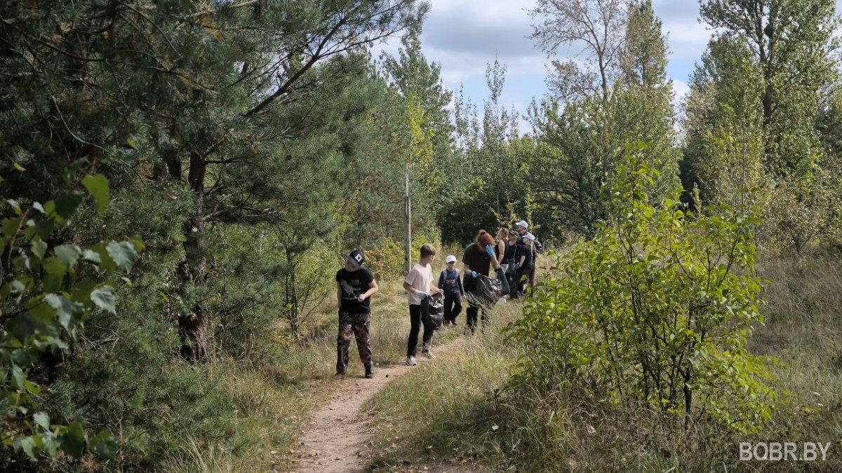 &laquo;Весело, задорно и с пользой для природы&raquo;: как бобруйчане навели чистоту на &laquo;Луковой горе&raquo;