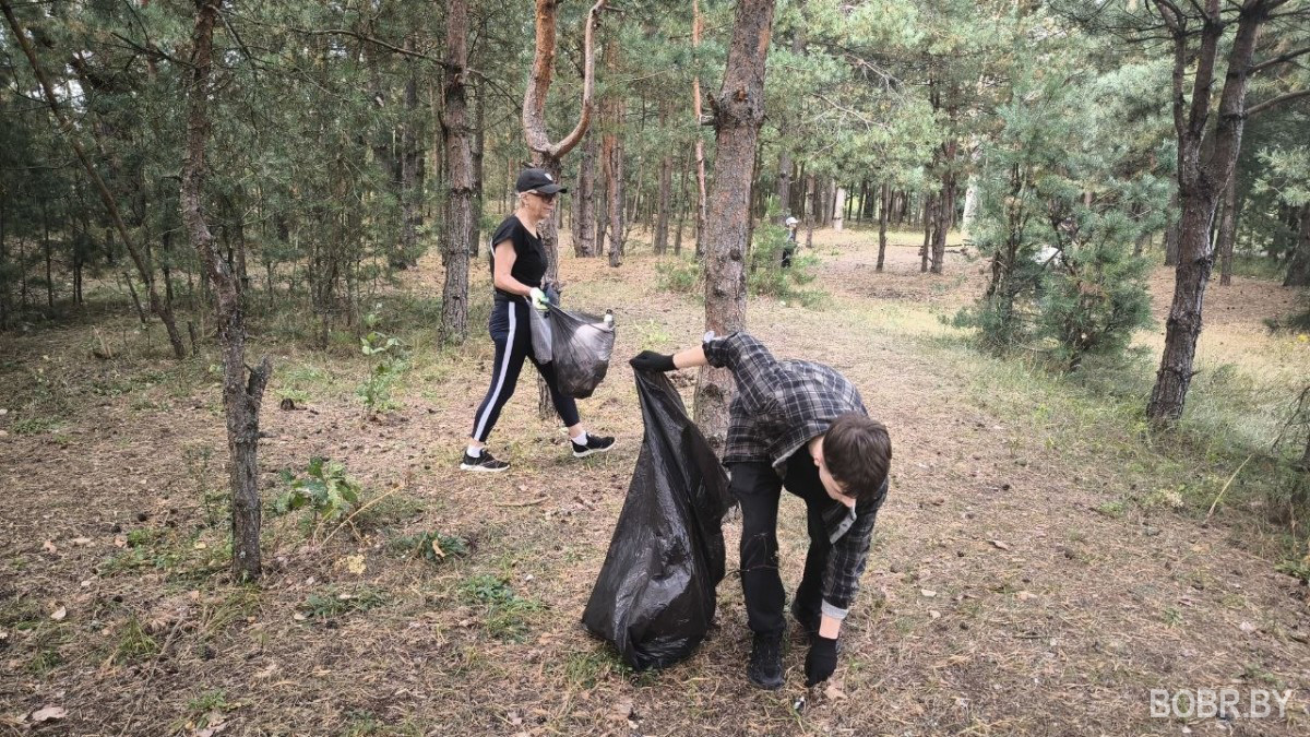 &laquo;Весело, задорно и с пользой для природы&raquo;: как бобруйчане навели чистоту на &laquo;Луковой горе&raquo;