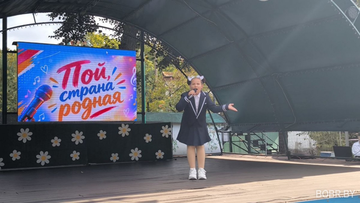 В Бобруйске подвели итоги конкурса &laquo;Пой, страна родная&raquo;
