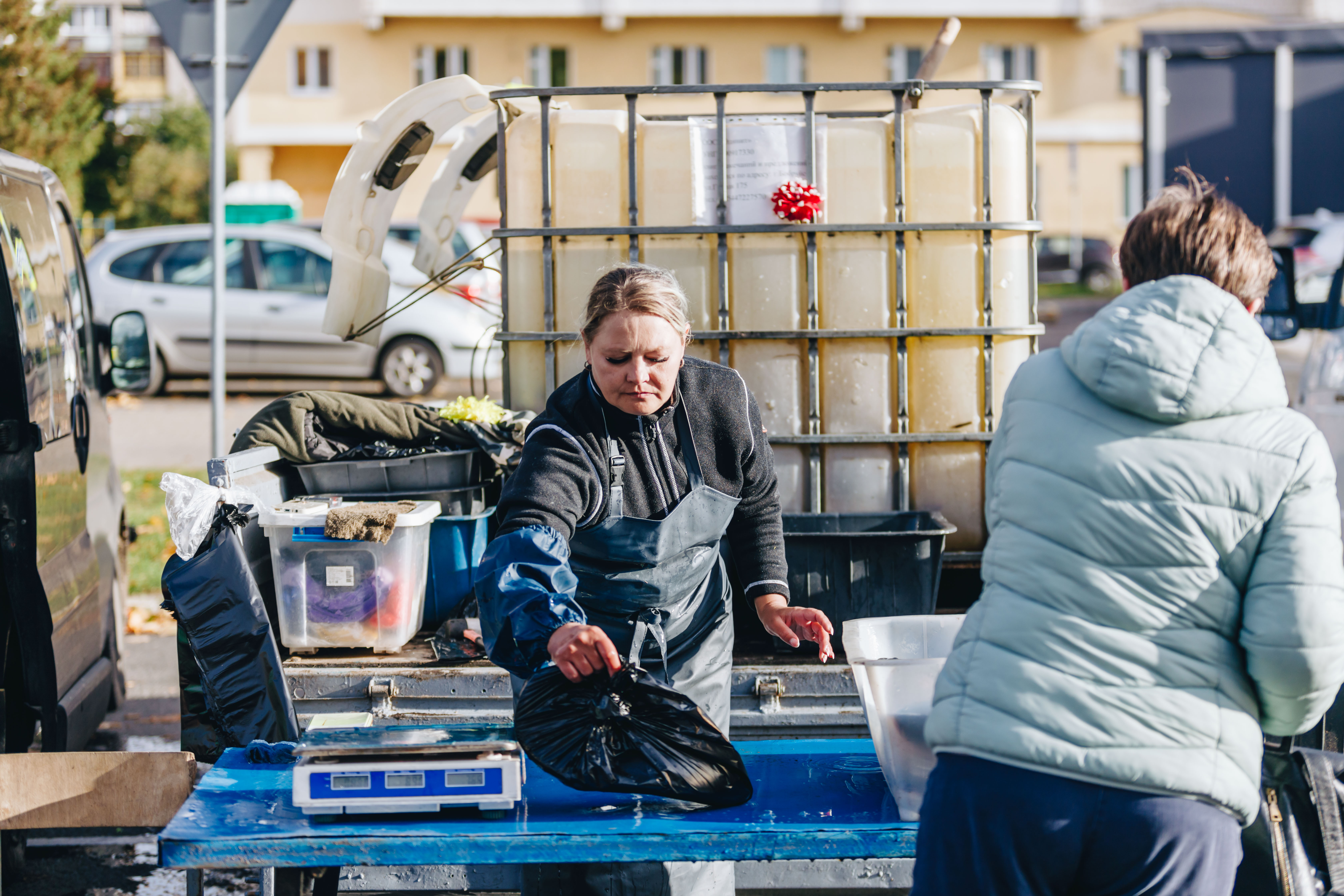 &laquo;Золотая осень&raquo; на Горького: бобруйчане запасаются впрок, а цены на овощи радуют