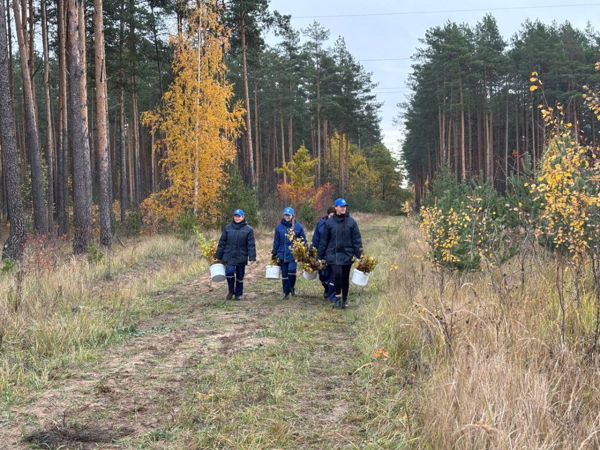 &laquo;Поколение ЭКО&raquo;. Бобруйск