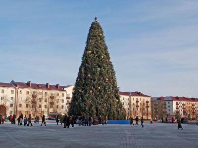 Главная елка города