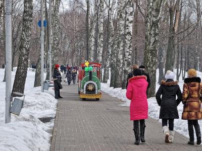 Масленица-2011  в городском парке